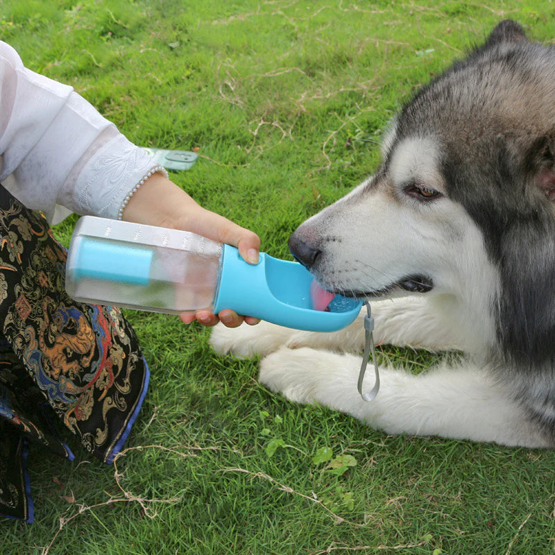 Dog Water Cup Drinking Food Garbage Bag Three-in-one Portable Small Multi-functional Pet Cups Pets Supplies